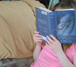 免费DDOS攻击测试工具